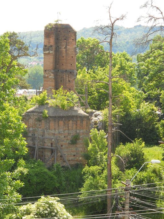 ホテル Casa Domneasca Curtea de Argeş エクステリア 写真