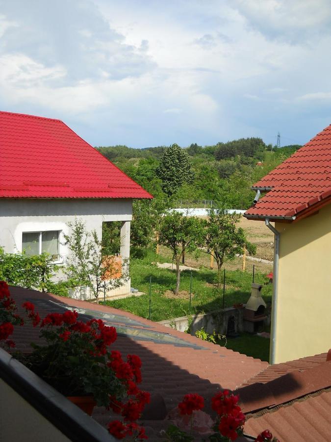 ホテル Casa Domneasca Curtea de Argeş 部屋 写真